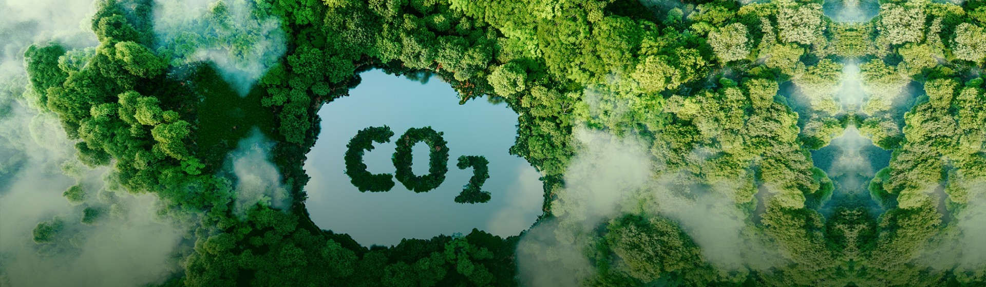 carbon inventory Verification